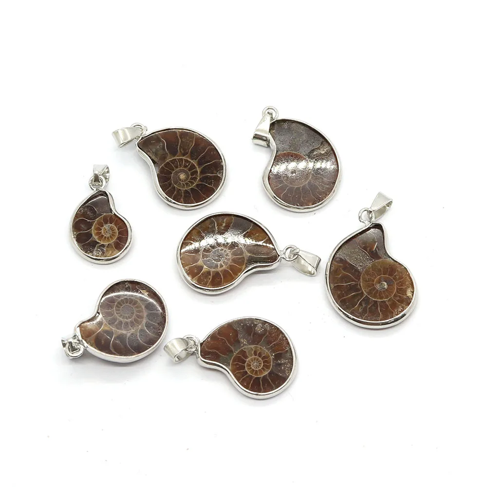 Natural Stone Shell Ammonite Snail Pendant 10-35mm Charm Vintage Making DIY Necklace Earrings Fashion Jewelry Boutique Accessory