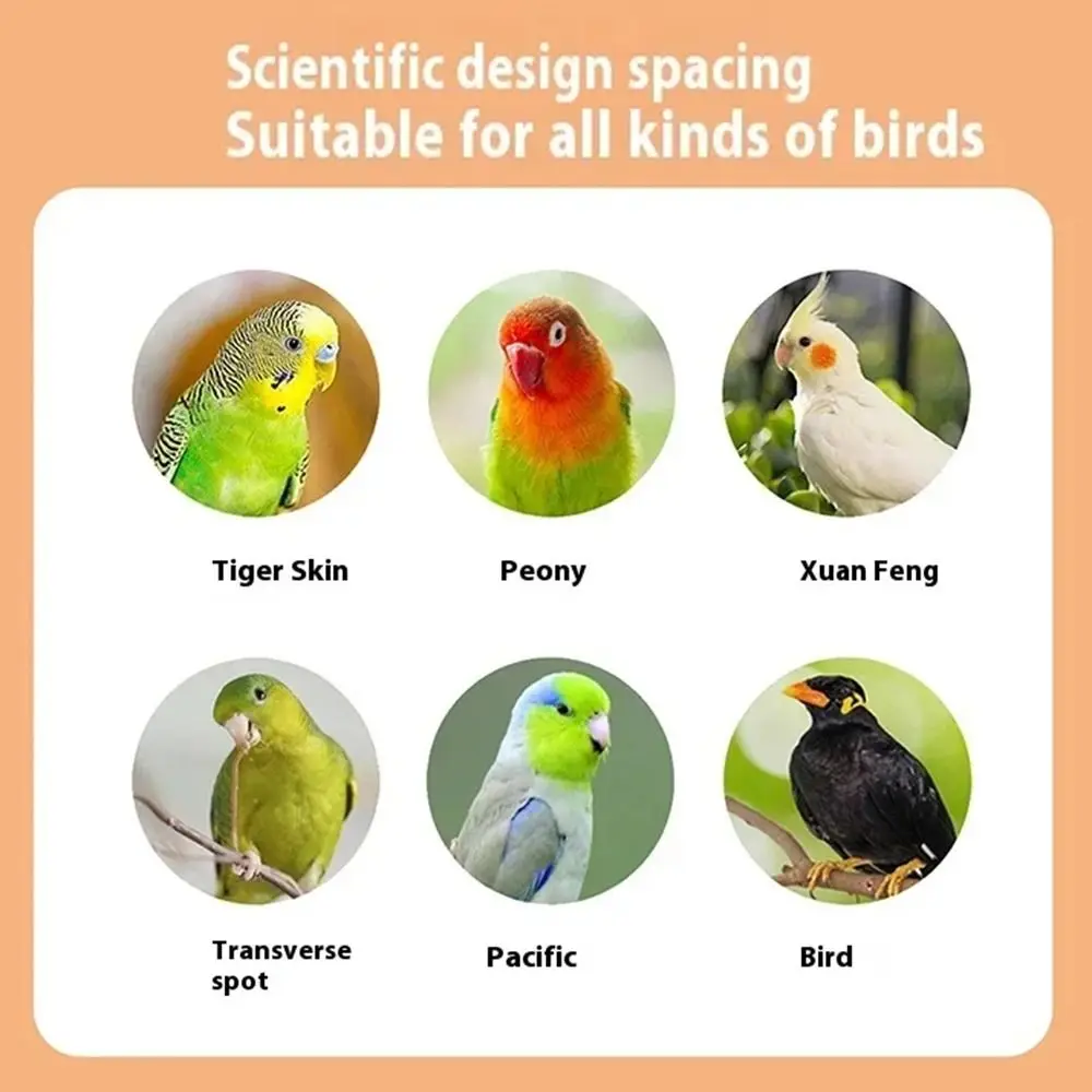 خطوات الطيور الخشبية الطبيعية للحيوانات الأليفة طحن المخالب ارتداء مقاومة الطيور جثم الوقوف التفاعلية لدغة مقاومة الببغاء تسلق الرف #3