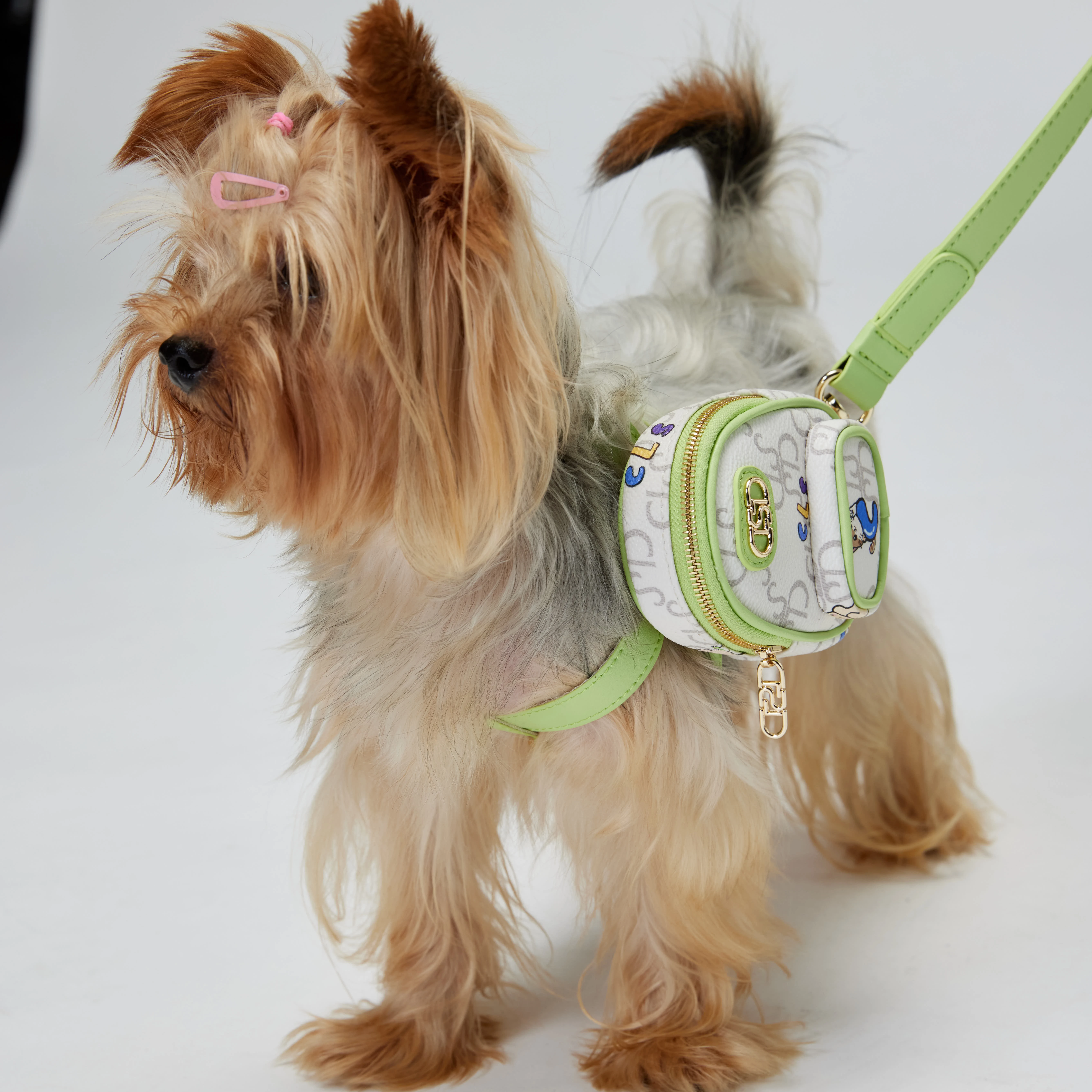 

Pet Accessories Solid Fashion Breathable Dog & Cat Collar Set & Multi-Functional Leash in Classic Modern Luxury Style