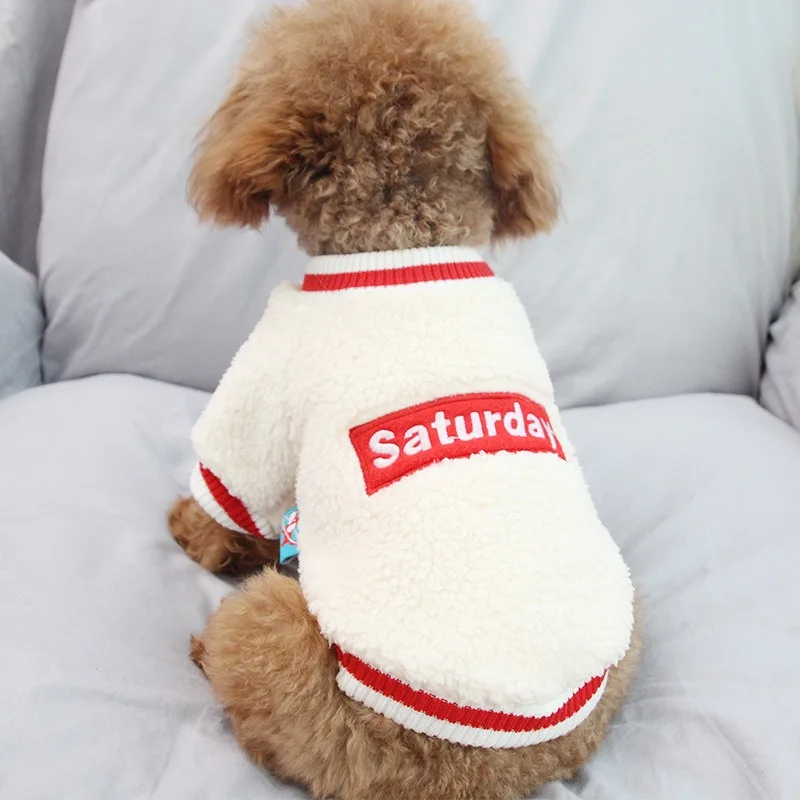 New Autumn and Winter Dog  With Pullovers Pet Two Foot Clothing Teddy Comfortable and Warm Clothes XS-XL