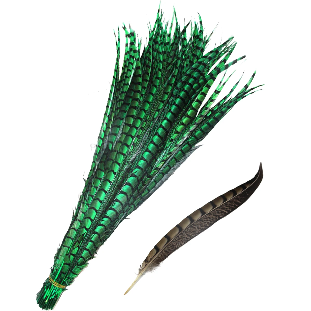 ZPDECOR 70-120cm/28-48 Inch Lady pheasant Feathers 100 pieces per pack for DIY Feather Handicrafts