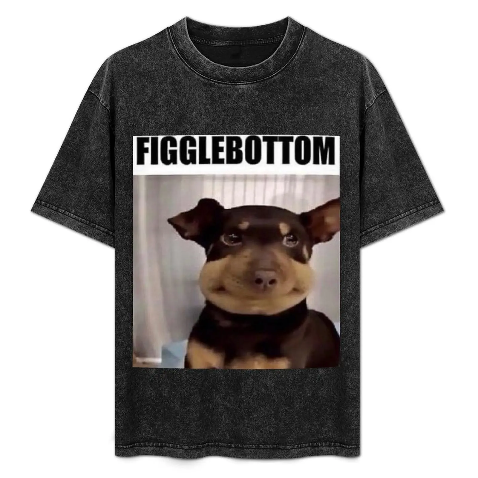 Figglebottom the Dog Meme Format T-Shirt Short sleeve tee baggy shirts anime figures oversized graphic tee sweat shirts, men