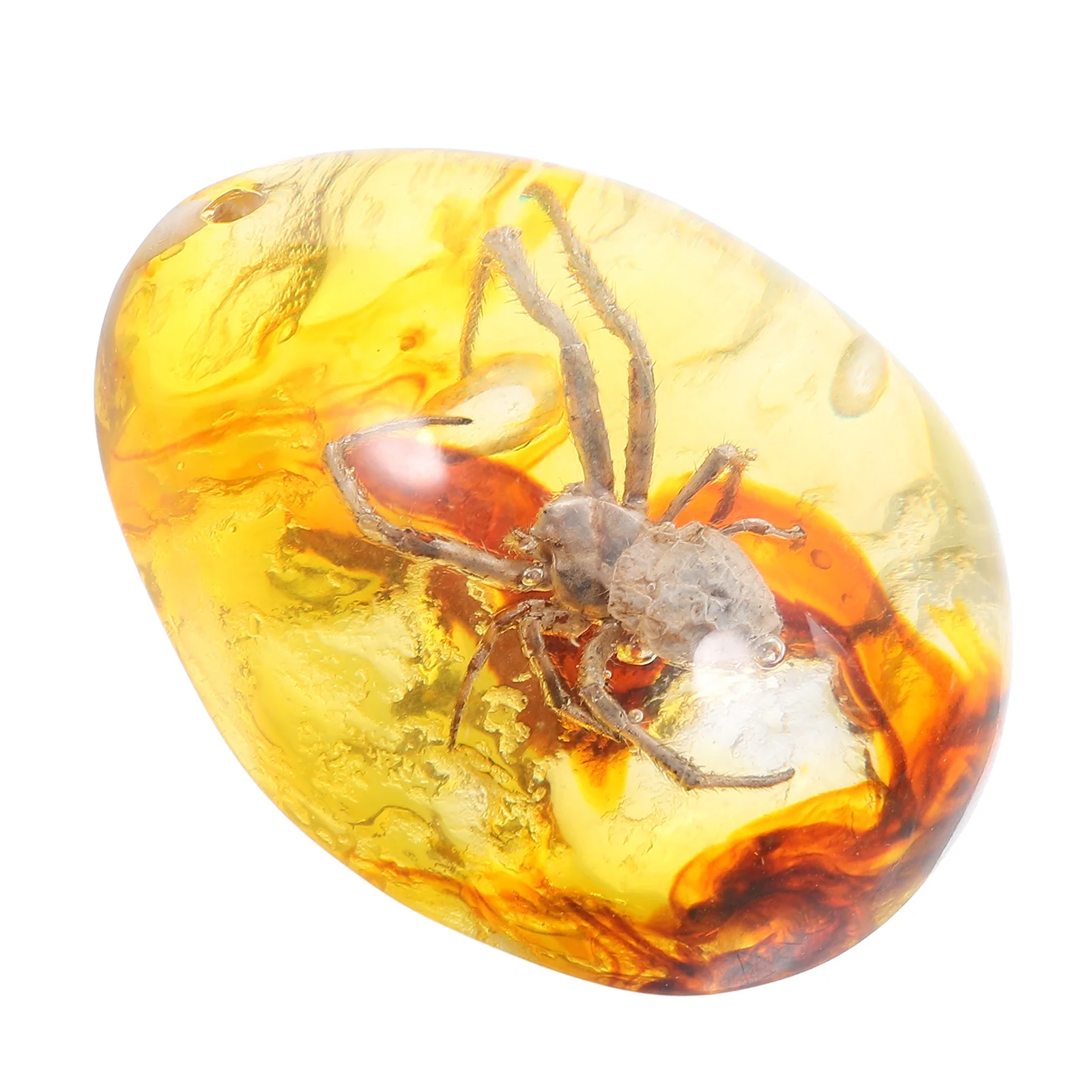 Amber Beeswax Specimen Stone Ornament Insect Samples Stones Spider DIY Crafts Shaped Resin