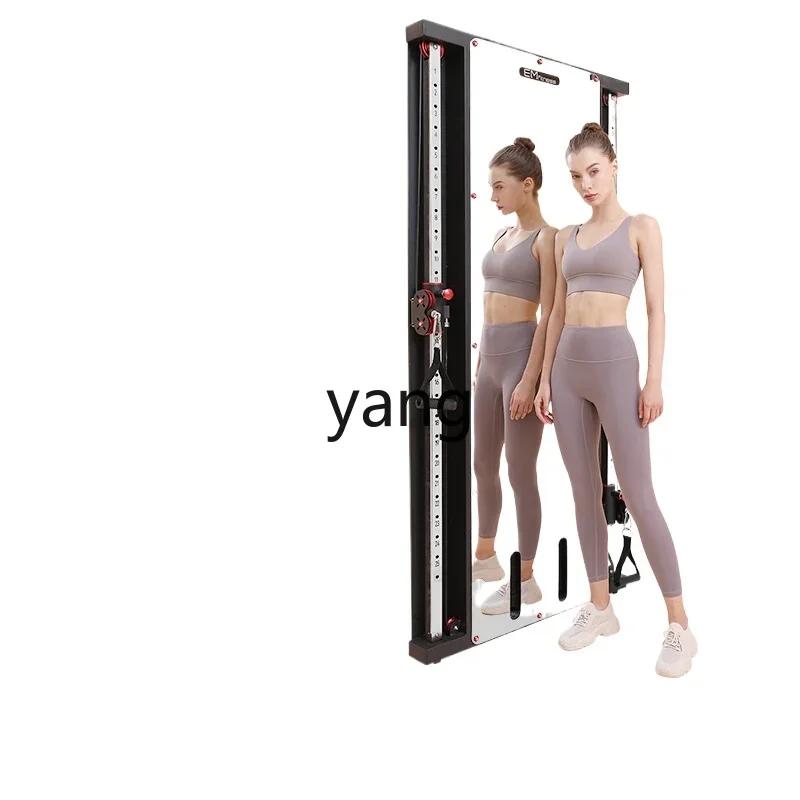 

LH unilateral wall-mounted mirror bird comprehensive trainer household wall-mounted fitness equipment