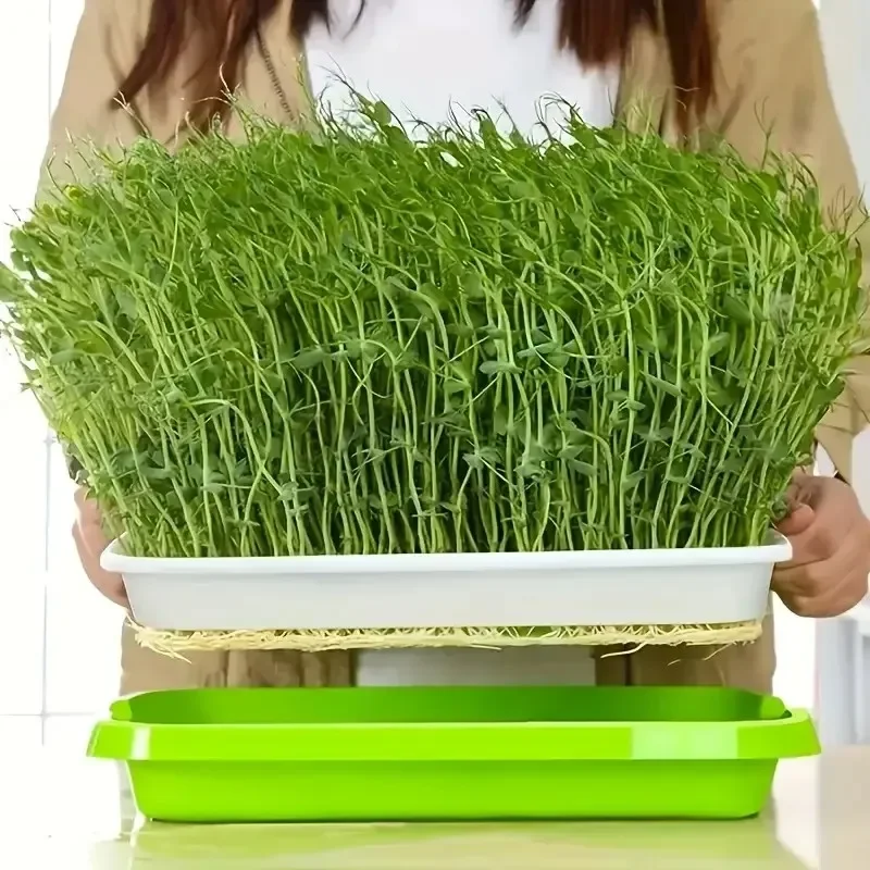 2026-New Home Seed Germination Tray Seedling Planting Pot Wheatgrass Cultivation Soilless Tray for Gardening And Agriculture