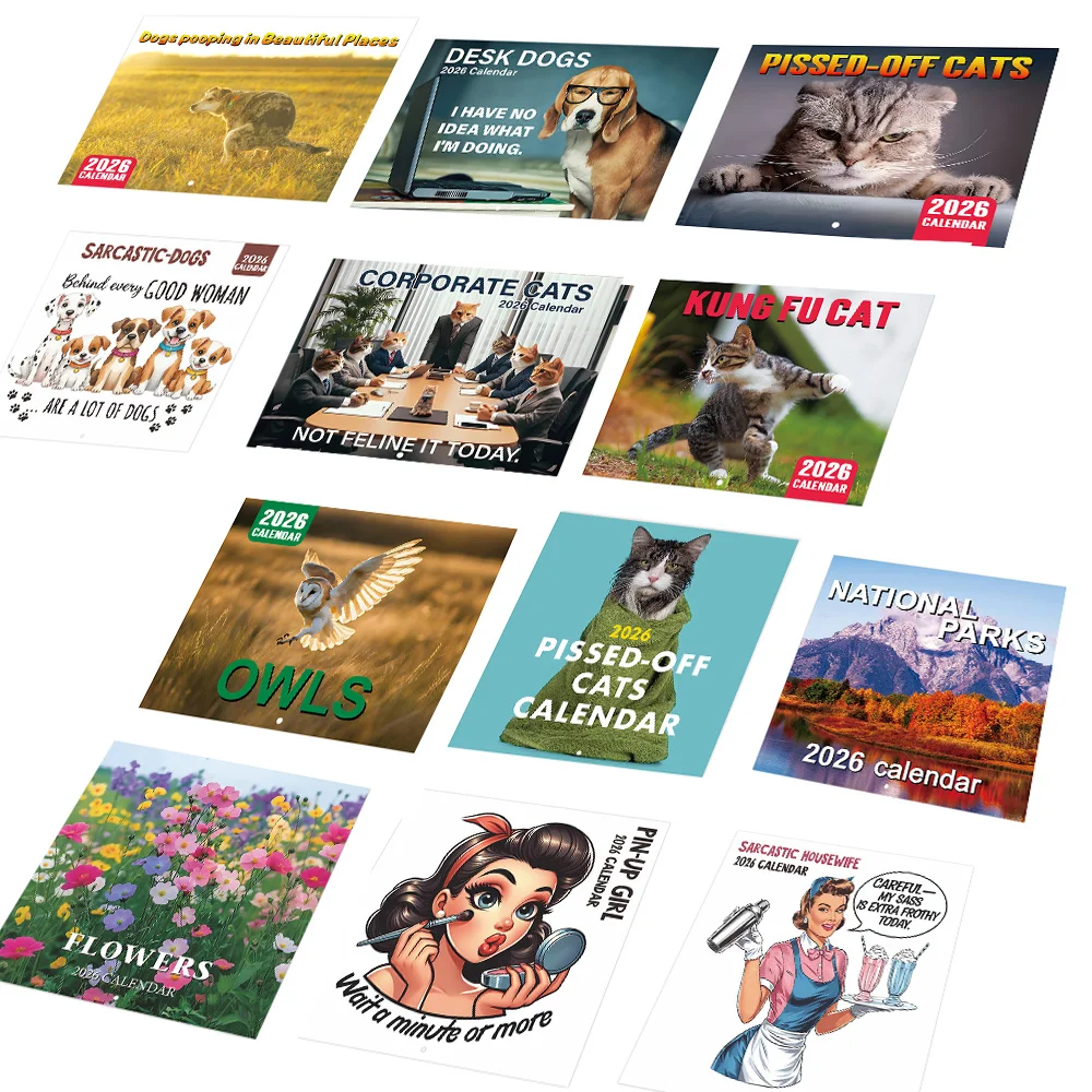 

Настенный календарь на 2026 год, календарь на 12 месяцев, ежемесячный планировщик, подвесной календарь для офиса, школы, дома, подарки