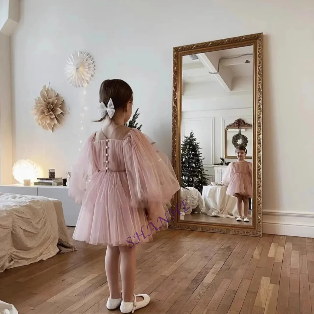 Princess Tutu Dress for Baby Girl Long Sleeve Infant Toddler Child Mesh Vestido Party Birthday Christmas New Year Baby Clothes 1