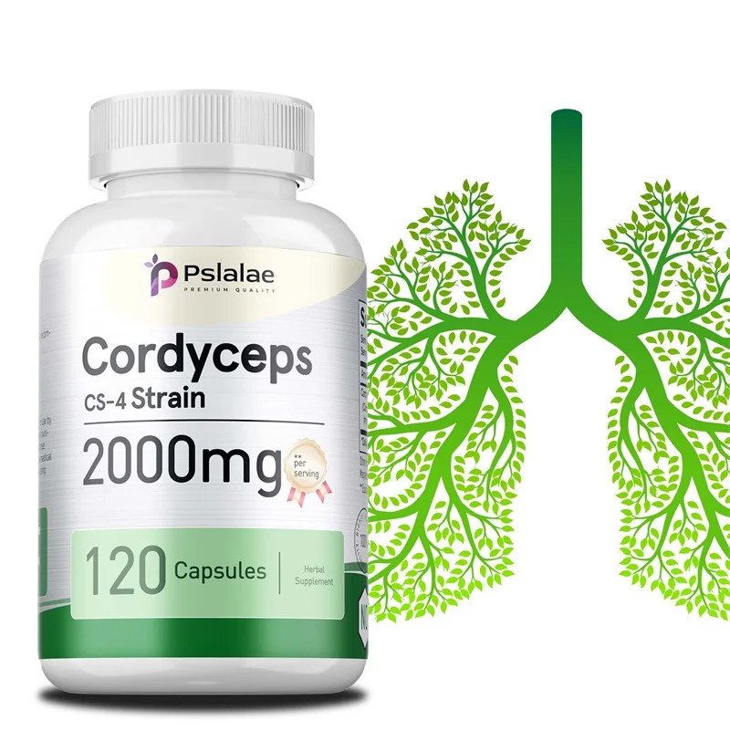 

Cordyceps Capsules - Stamina and Energy Support, Helps Immune & Cardiovascular Health, Brain Supplement for Memory and Focus