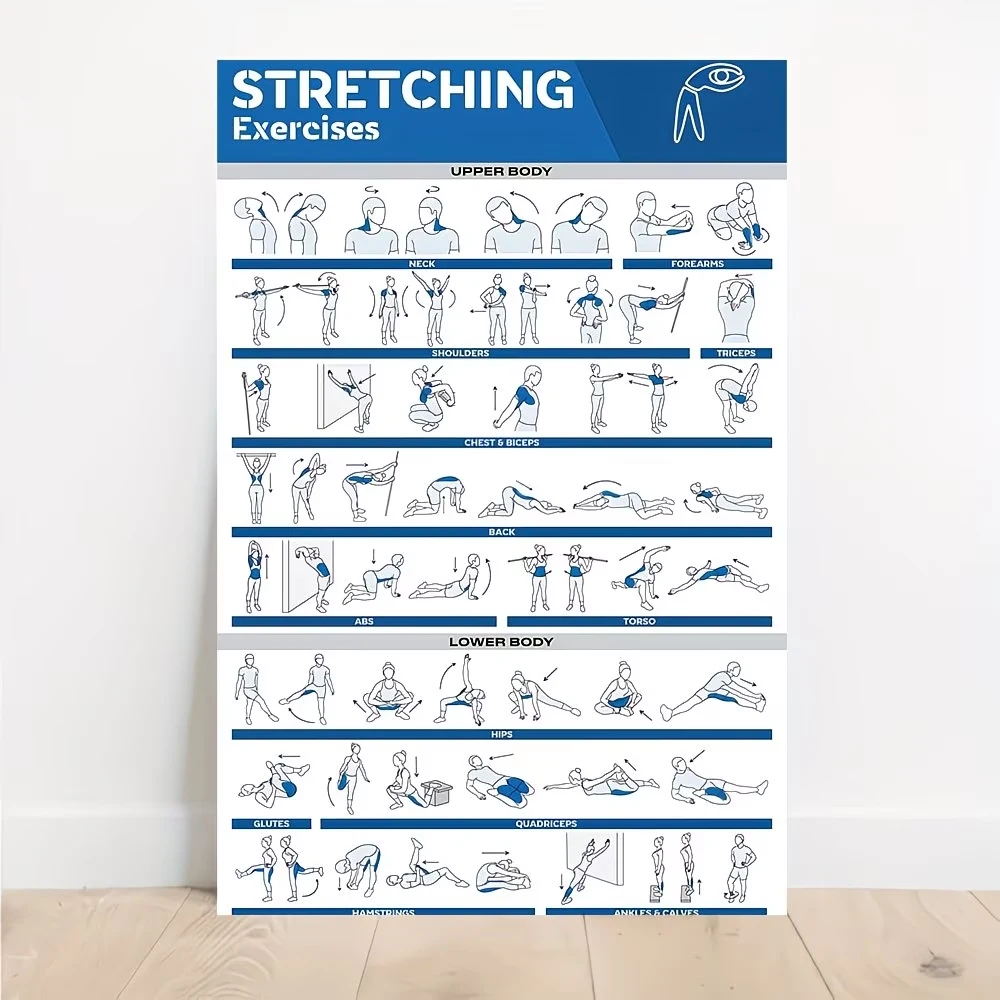 Modern Labeled Full-Body Stretches For Gym Wall Art Print Canvas Painting Poster Picture For Living Room,Bedroom Home Decor
