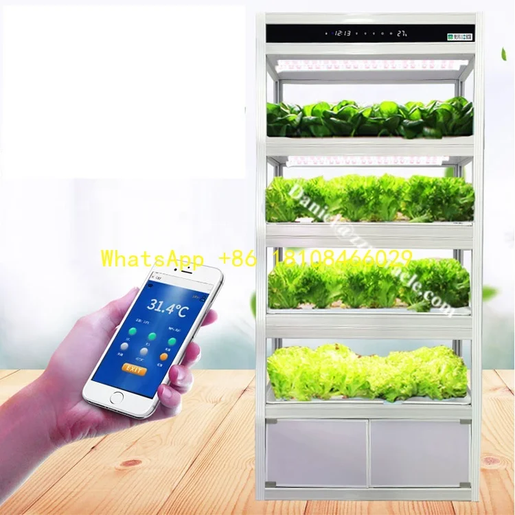 

Planting Machine Hydroponic Vegetable Garden Indoor Hydroponic Sprout Machine Vegetable