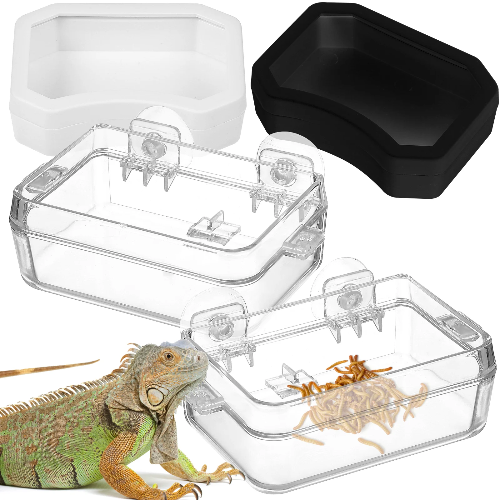 

2pcs Reptile Dish Small Reptile Feeding Cup Clear Escape Proof Bowl Lizard Cups Hydration Basin Pet Supplies Accessories