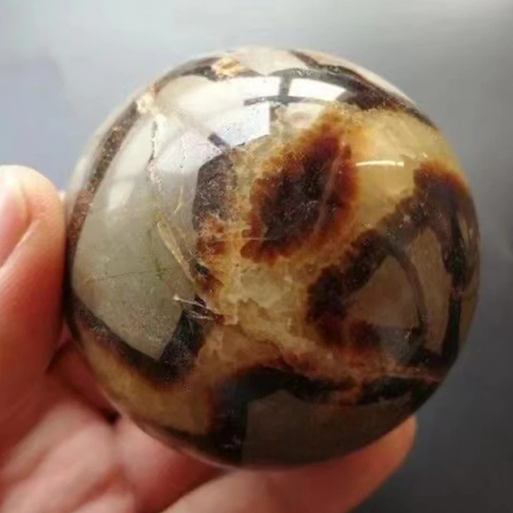 Natural Septarian Sphere Dragon Stone Septarium Ball Reiki Healing Quartz Crystal Ball Collectible Fengshui Home Decor Ornaments