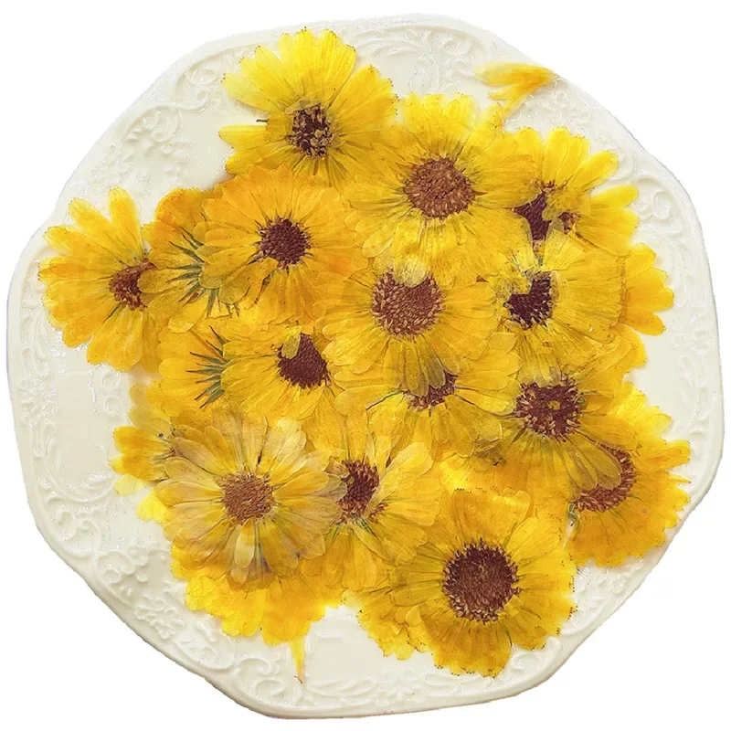 3 ~ 6CM/24 Uds. Mini caléndula prensada seca Natural Real cabezas de flores de Officinalis para joyería de resina, invitaciones de boda, uñas