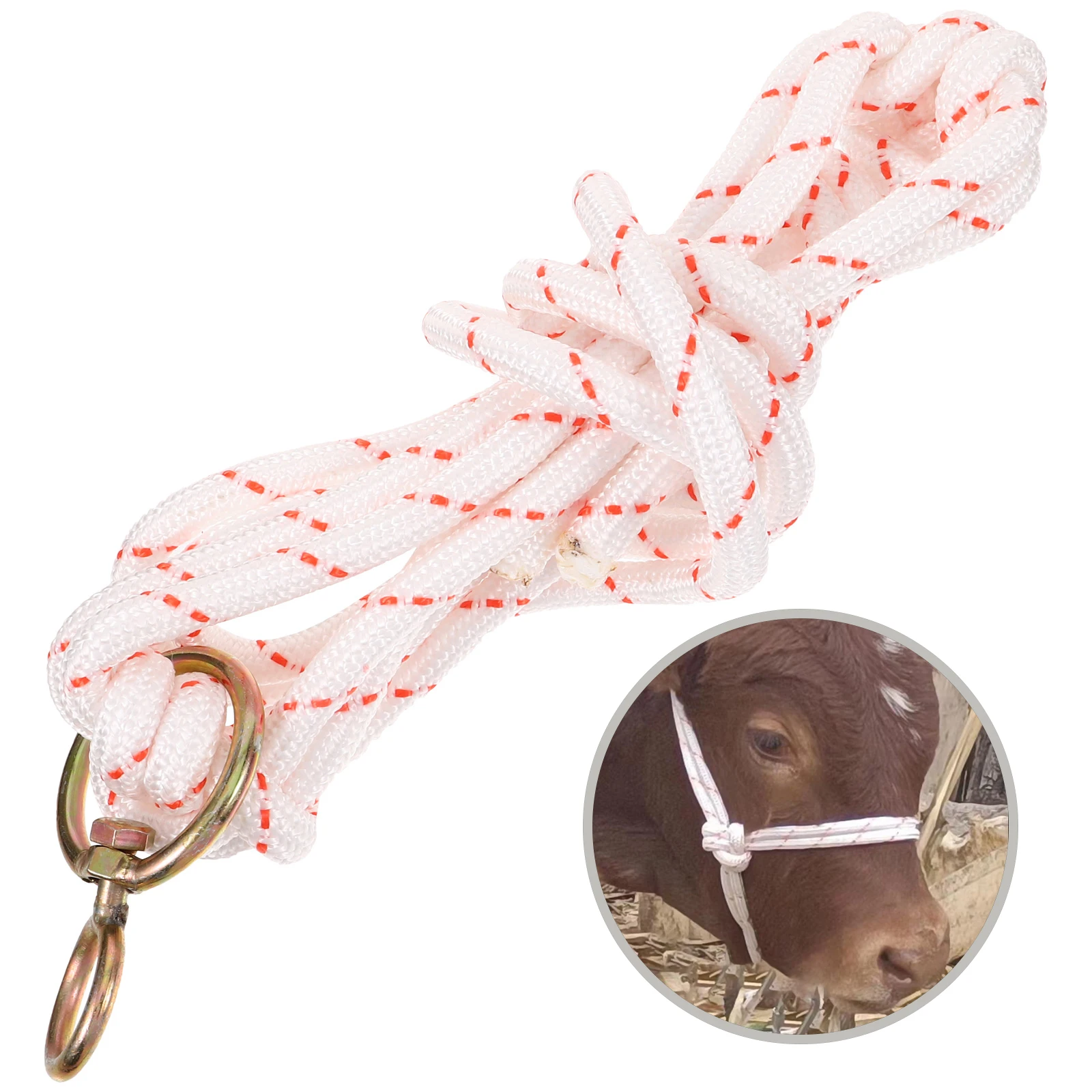 

Bull Bridle Halter for Cattle Calf White Equipment Adjustable High Grade Cow Iron Rope Wear Resistant Portable Lightweight