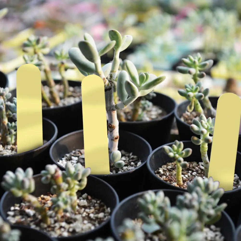 Waterproof PVC Plant Labels Garden Stake Markers Tags for Seedlings Potted Plants Courtyard Garden Use