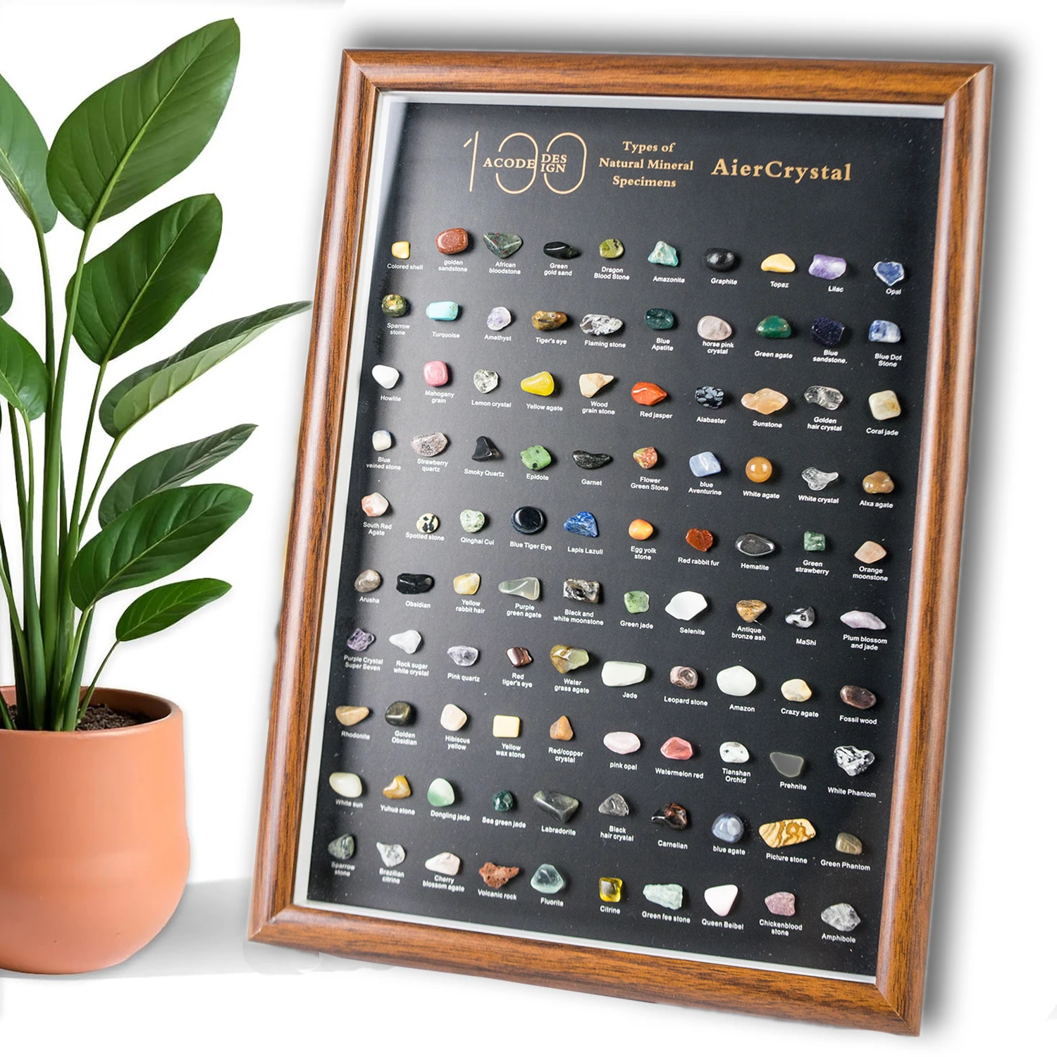 yZ[z100̍zW{Zbg VRNX^ƃq[OXg[ ꂽ}`J[Xg[ z[fR[VMtg