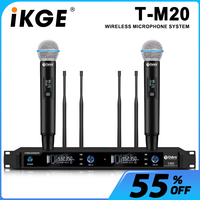 T-M20 Professional Wireless Handheld Microphone System, UHF Dual Channel Wireless Microphone Kit for Karaoke, Weddings, Bands