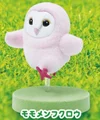 Peach Barn Owl