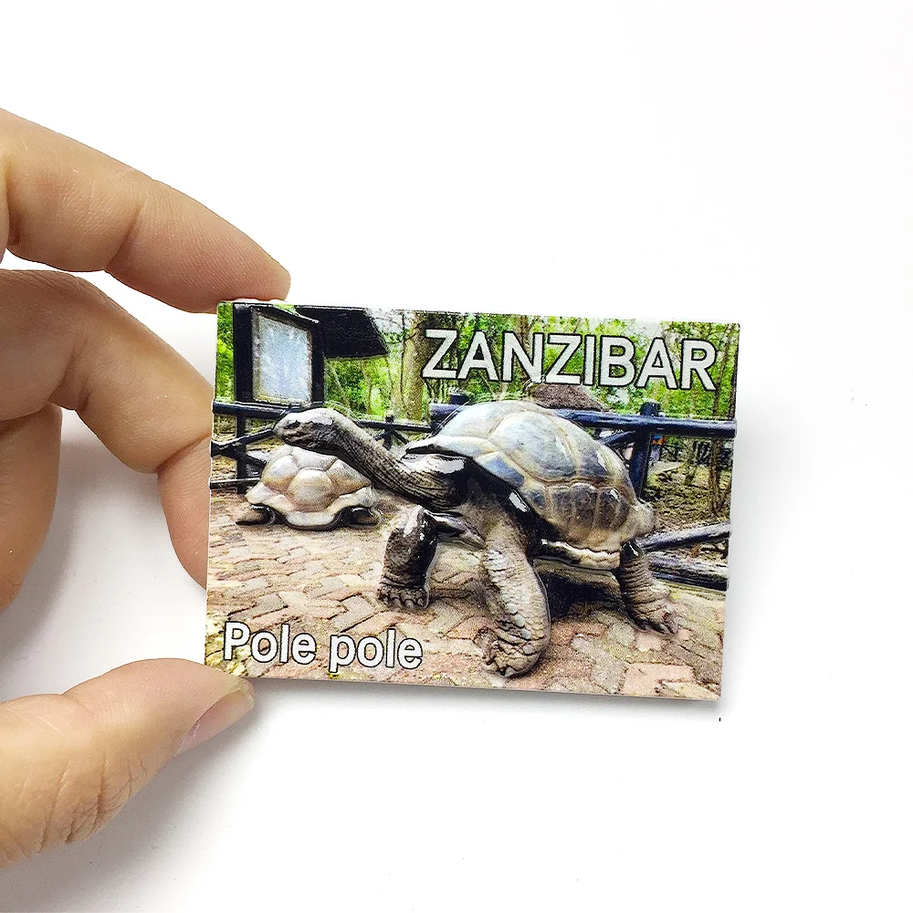‌Zanzibar 3D Resin Fridge Magnets - Decorative Refrigerator Magnets with Giant Tortoise & “Pole Pole” Theme, Cute & Quirky Ho