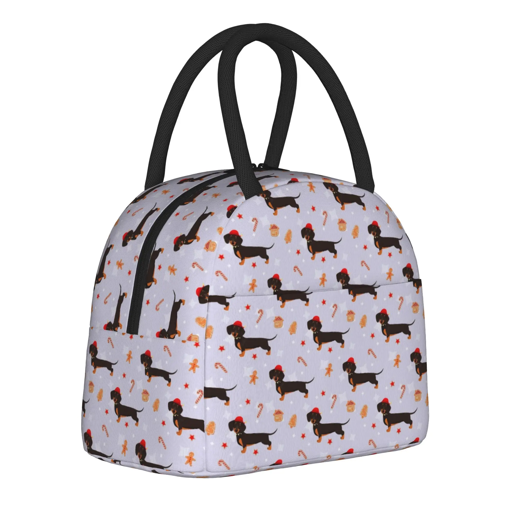 Dachshund Insulated Lunch Bag Cooler Bag Reusable,Lunch Container Dogs Animal High Capacity Tote Lunch Box Food Storage Bags
