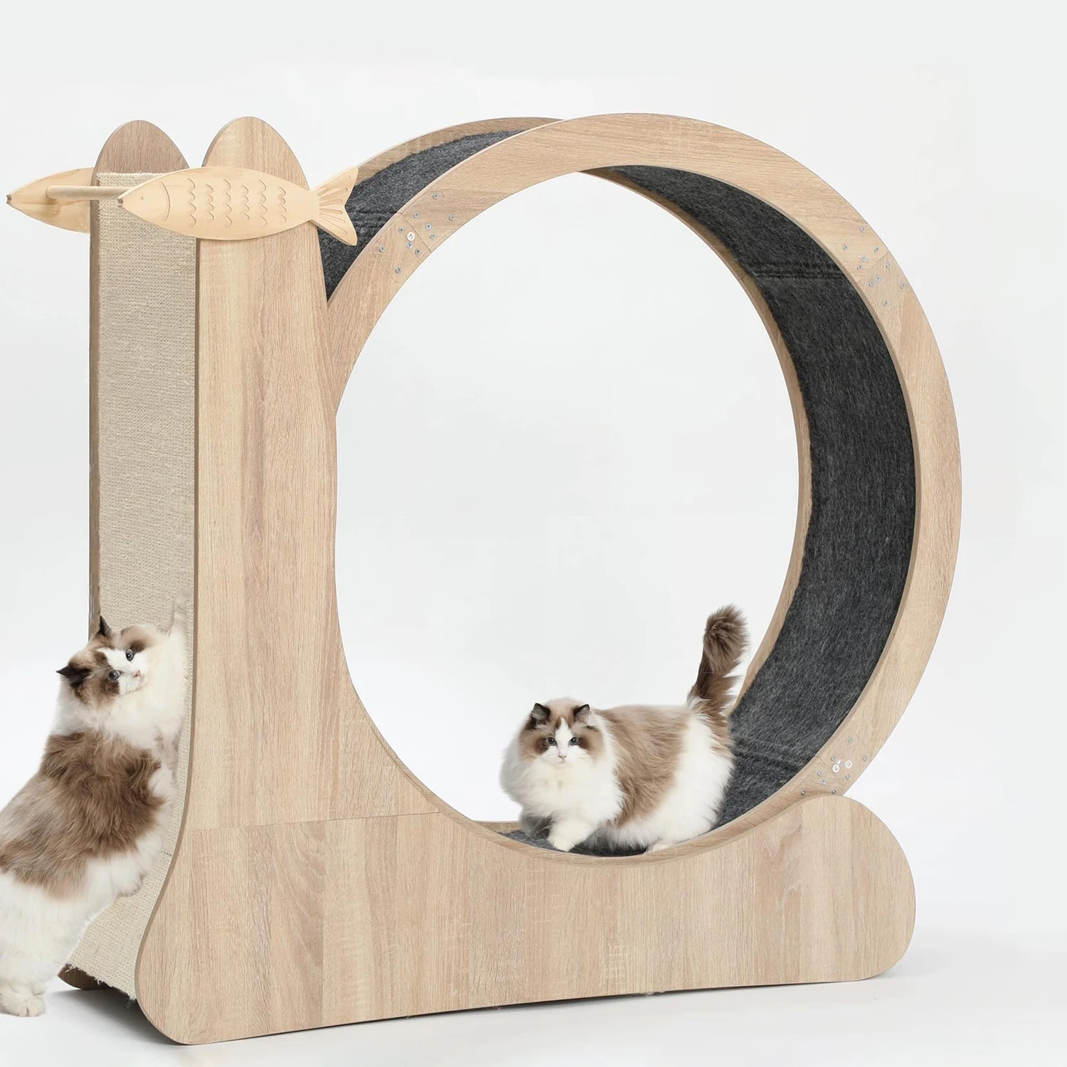 

New Design Pet Interactive Anti-depression Treadmill Cat Exercise Wheel