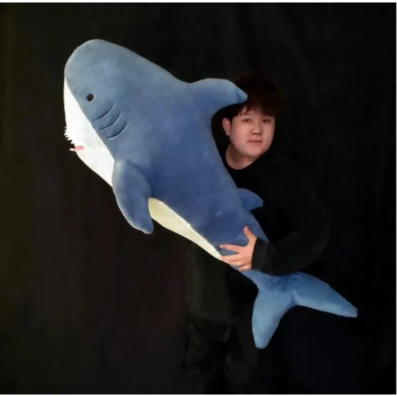 Appearing Shark By …