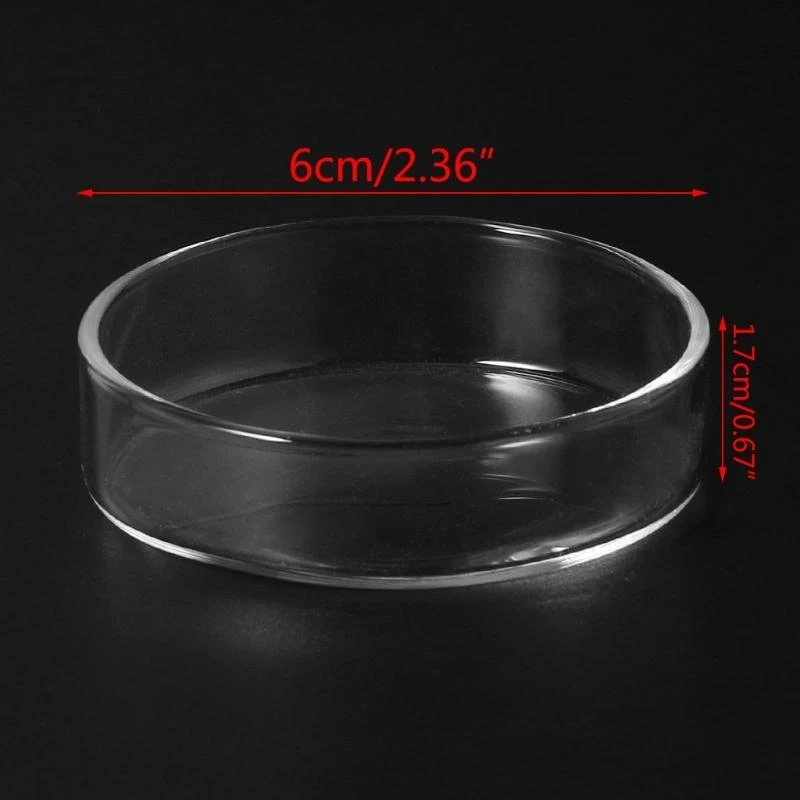 Ornamental Fish Feeding Bowl Pet for Cat Dog Feeder Storage Plate
