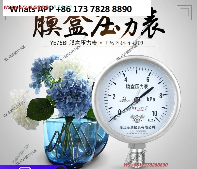 YE75 Stainless Steel  Type Preventing Type Micro Pressure Gauge Natural Gas Gauge Thread 3/8 Diaphragm Box Pressure Gauge