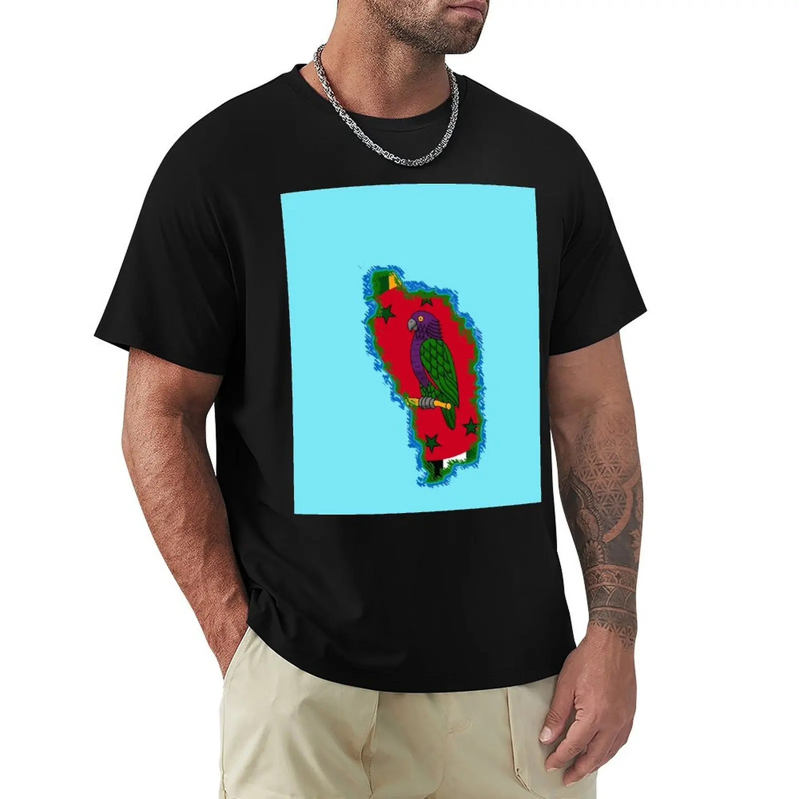 Dominica Map with Dominican Flag T-Shirt Basic Solid Tee for Daily Use