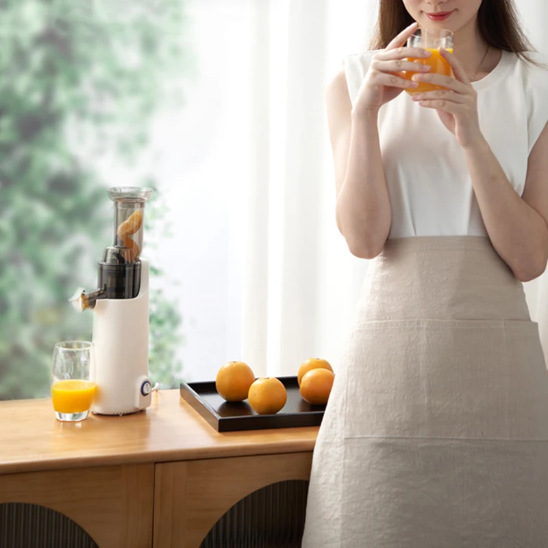 Slow Electric Juicer Household Full-automatic Orange Celery Juicer Multifunctional Residue Juice Separation Fruit Juicer 220V