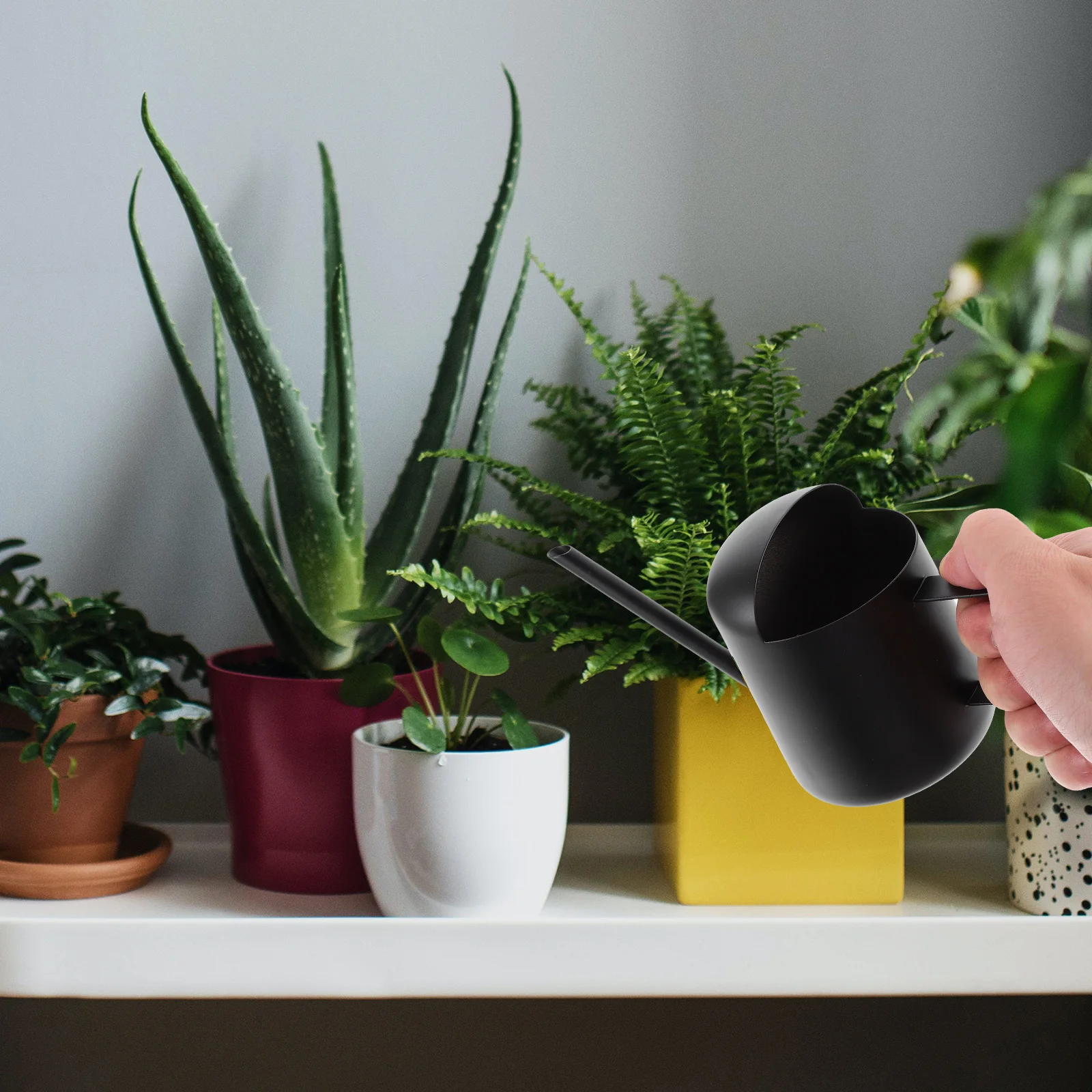 الفولاذ المقاوم للصدأ مسقاة افتتاح كبير مقبض مريح سقي دقيق داخلي في الهواء الطلق حديقة النباتات زهرة الأواني العصارية #3