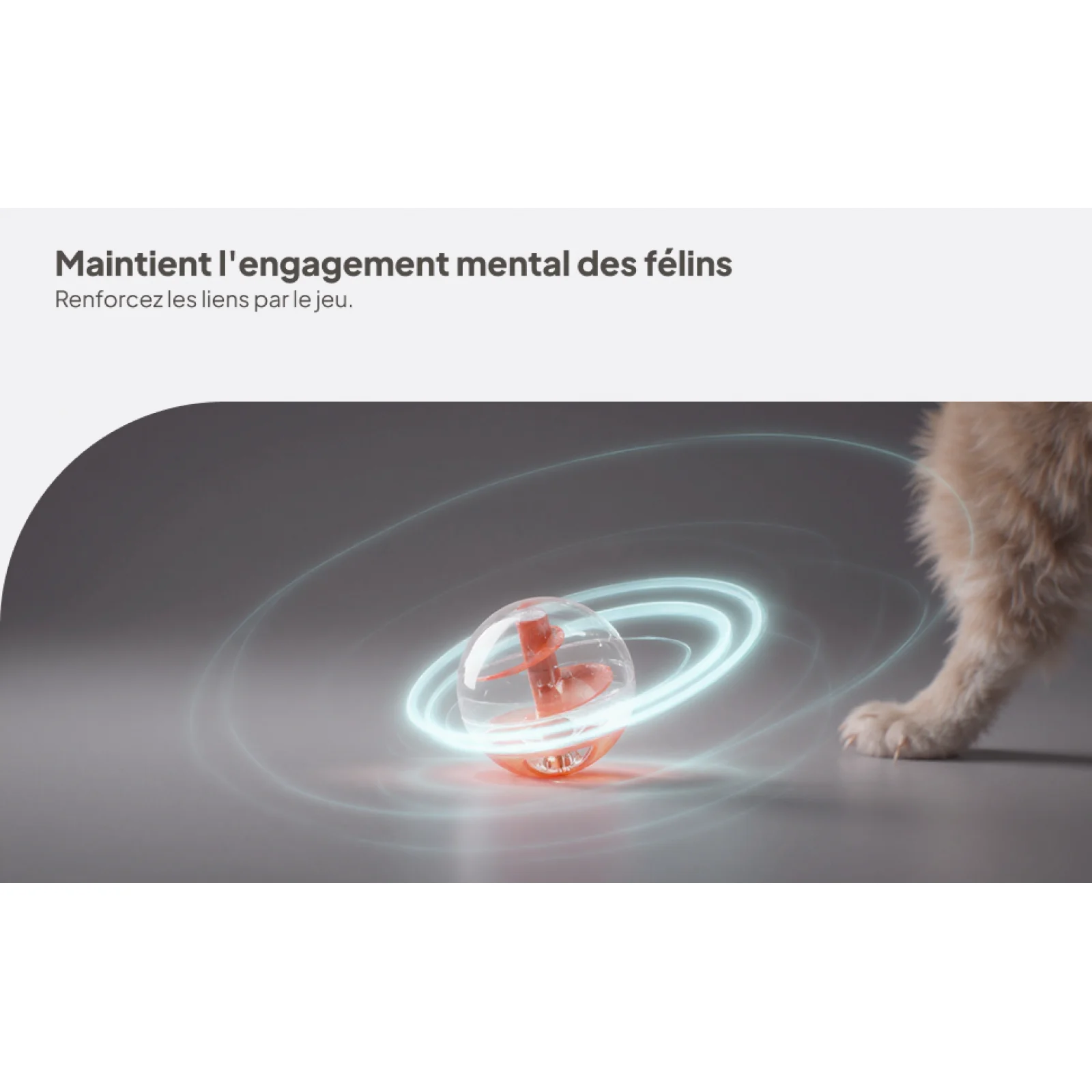 Cat Puzzle Treat Ba… - image