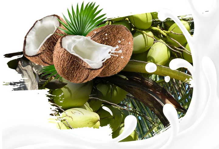 Groene Kokosnoot Schilmachines Hoge Snelheid Snijmachine Draagbare Trimmachine Automatische Kokosnoot Dunschiller