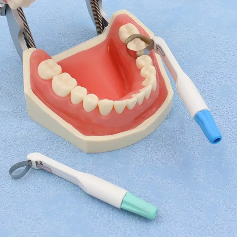 

Dental Pro Matrix Holder Molar/Premolar Adjust Matrices Bands Restoration Teeth Filling Materials Dentistry Pre Formed 4.5mm 6mm