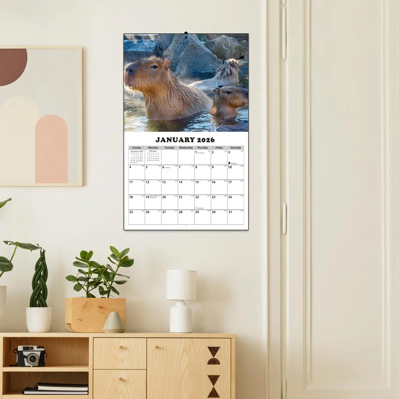 Calendario da parete gennaio 2026-2027 Anti spurgo inchiostro Pianificatore personale 13 mesi Calendario da parete gennaio 2026 con date Julian per la casa