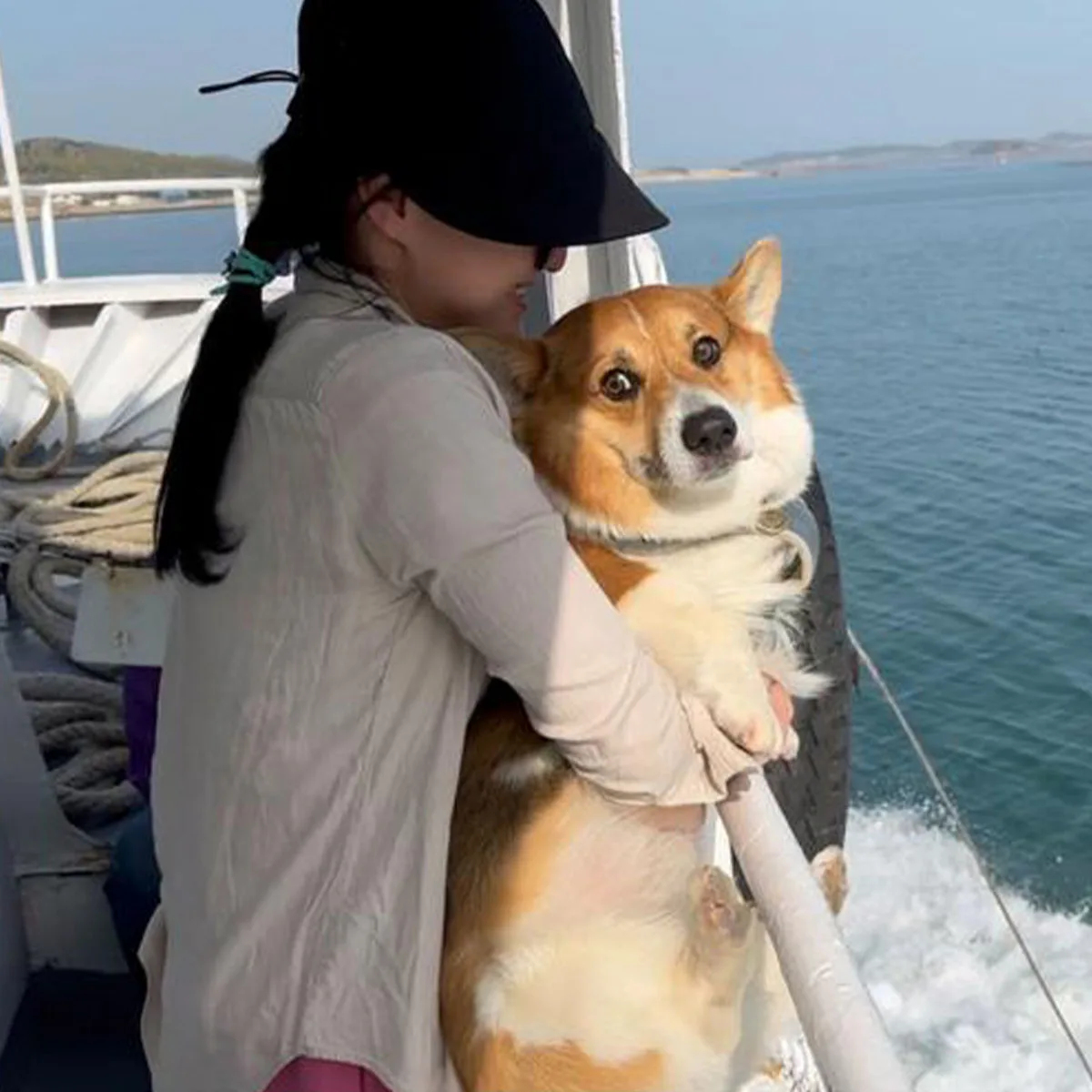 

Dog Bark Collar 2600ft Dog Training Collar with Remote for 10-120lbs Small Medium Large Dogs Rechargeable Waterproof E-Collar