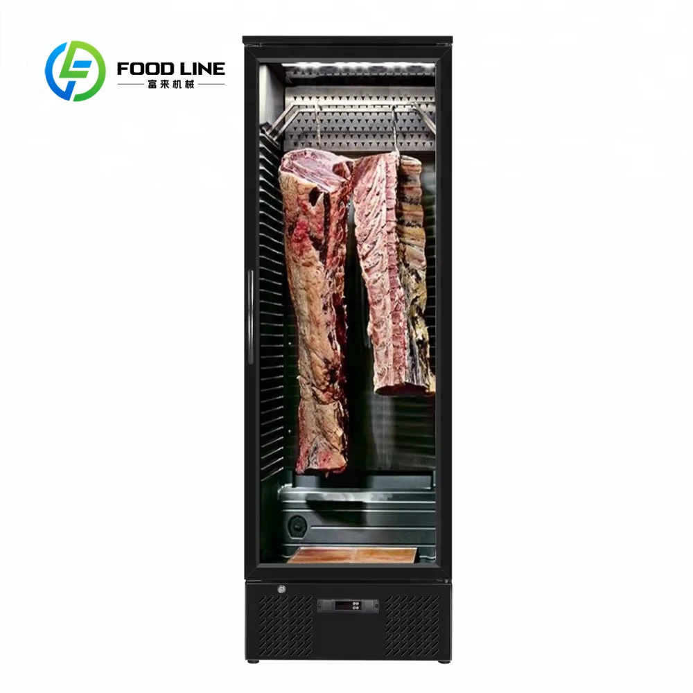 Meat Ager Customized 460L Professional Compact Home Dry Aging Refrigerator for Perfect Steaks Premium Quality