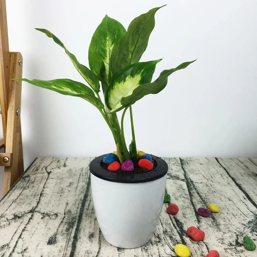 

Lazy Flower Pot Automatic Self Watering Round Plastic Plant Flower Pot Garden Decors Home Office Flowerpot With Cotton Rope