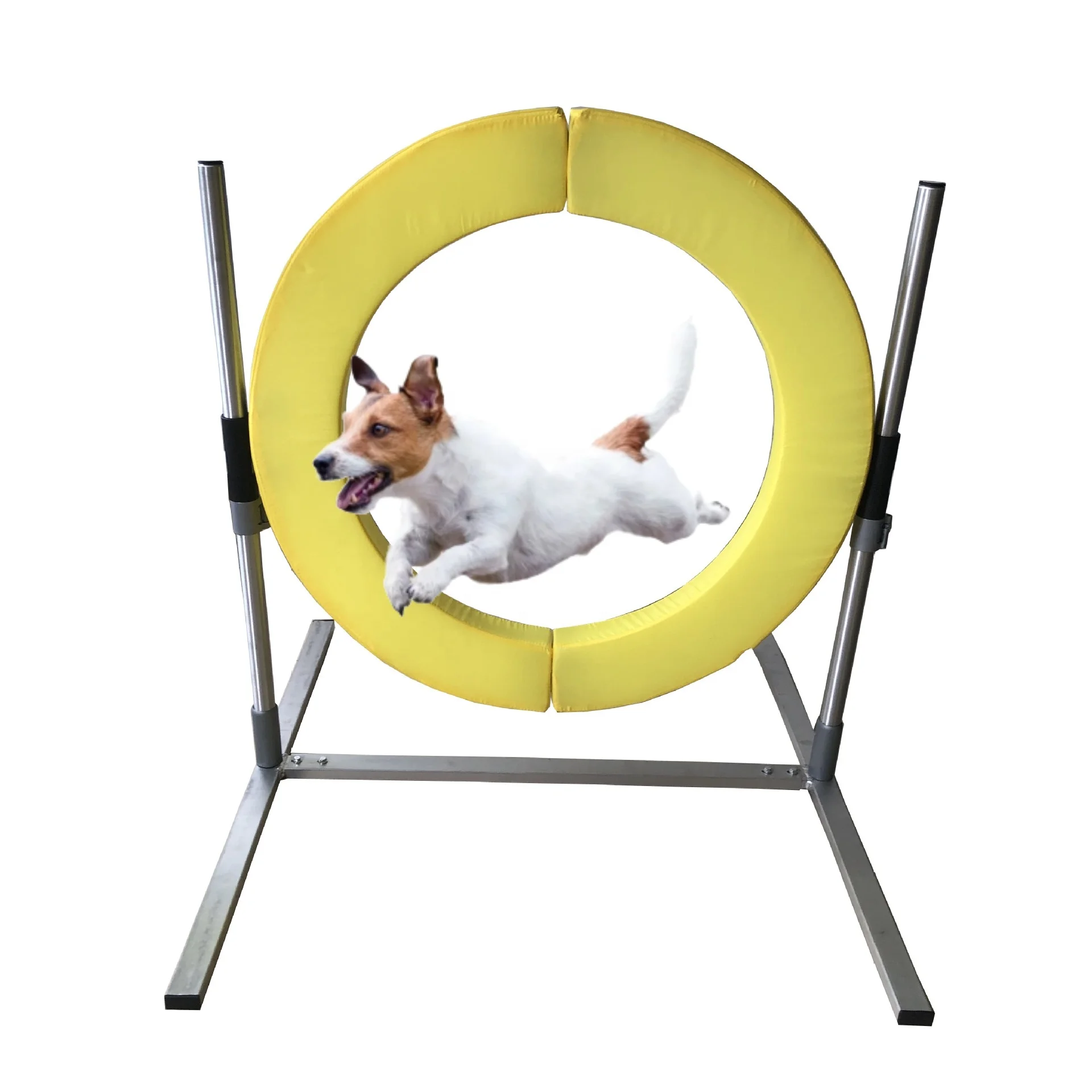 USMILEPET Direct Factory Outdoor Dog Agility Training Equipment Custom Weight Plastic Tire Hoop Jump Dog Collar Training