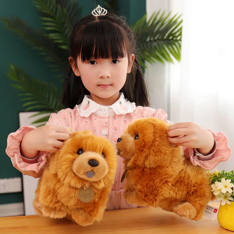 30Cm Kawaii Simulatie Pluizige Chow Chow Hond Knuffel Leuke Levensechte Puppy Pet Gevulde Pop Sussen Baby Speelgoed Kids verjaardag Geschenken