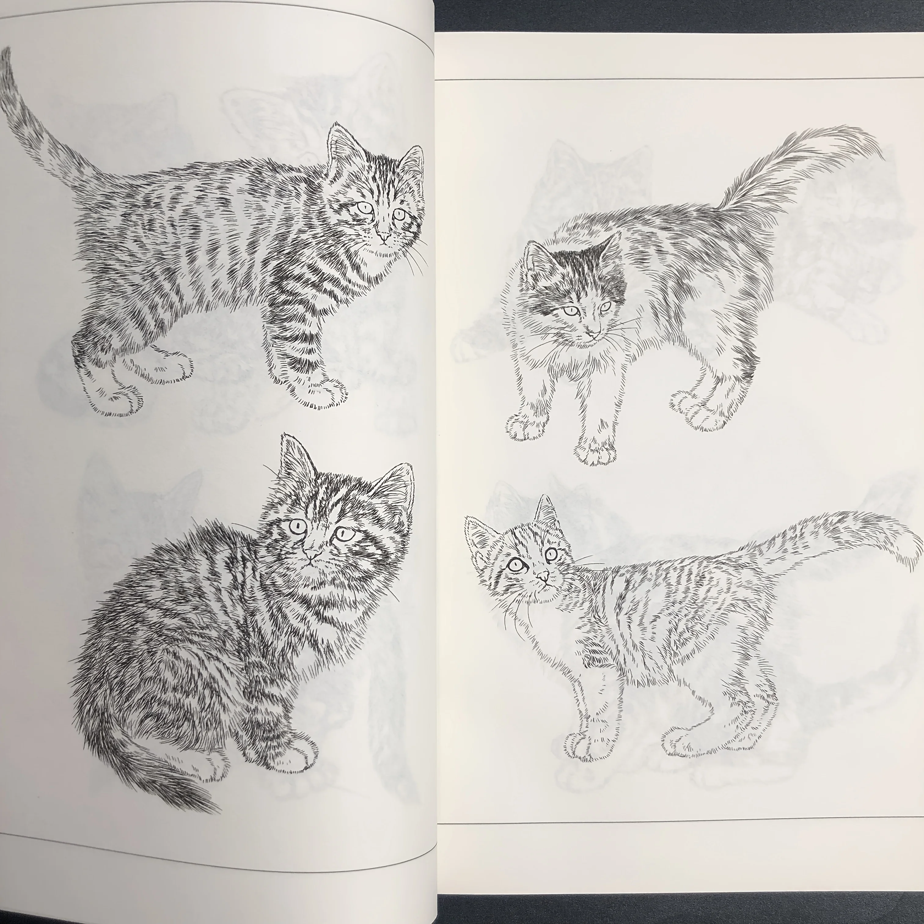 Coloring Book for Adults and Teens Featuring  with Easy and Simple Designs for Relaxation Chinese painting sketch