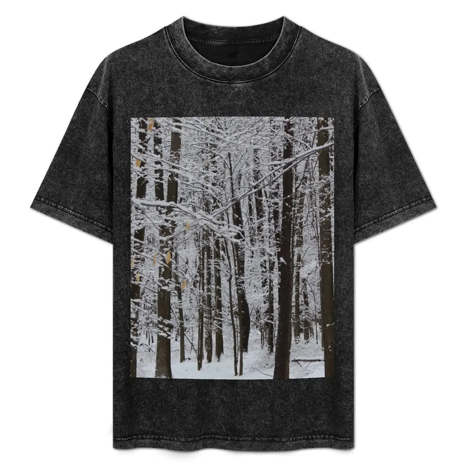 

Winter Trees, Knox State Park, February 2013 T-Shirt affliction shirts shirts graphic tees funny gifts mens clothes
