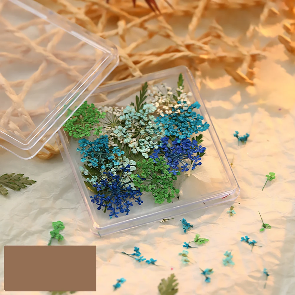 Boxed Nagel Zubehör Sommer getrocknete Blume Babys breath gemischt echte Blumen Dekoration Maniküre DIY Box-verpackt Schmuck zubehör