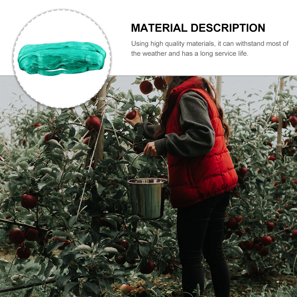 

Anti Bird Net Large Mesh Polyethylene Garden Farm Barrier Protect Trees Berries Plants Flowers Vegetables Weather Resistant Easy
