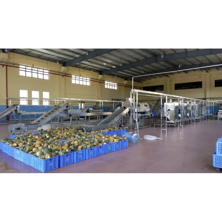 industrial pineapple fruit juice concentrate pulp jam processing making machine plant production lineProfessional team design