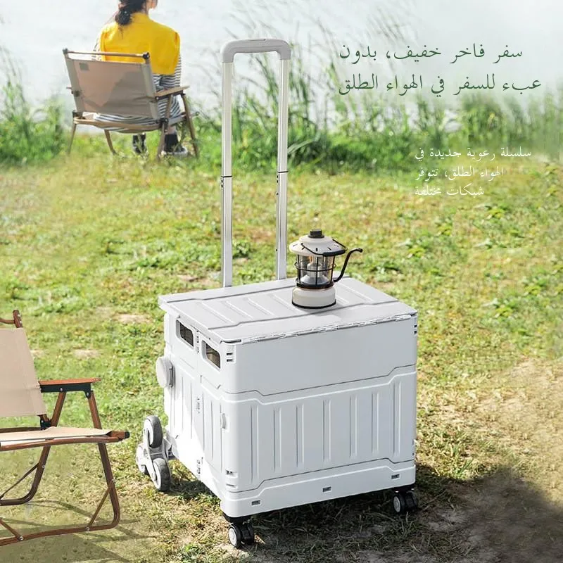 

Portable Lightweight op Cart Vegetable Bung Car Small Pulling Cart Handy Household Trolley Durable Cloth Bag