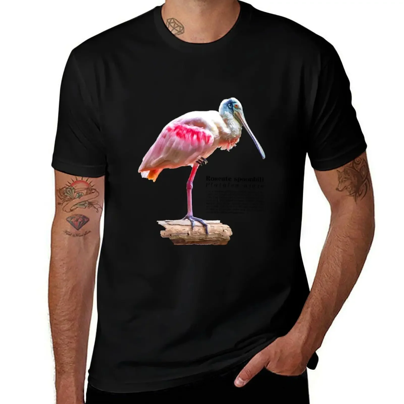 Roseate spoonbill bird near the sea T-Shirt Short sleeve tee customs outfits for men