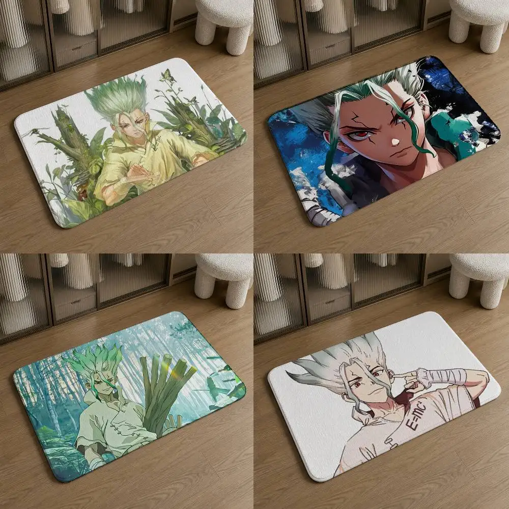 Dr. Stone  Pattern Soft Washable Non-Slip Doormat for Indoor and Outdoor Home Decor