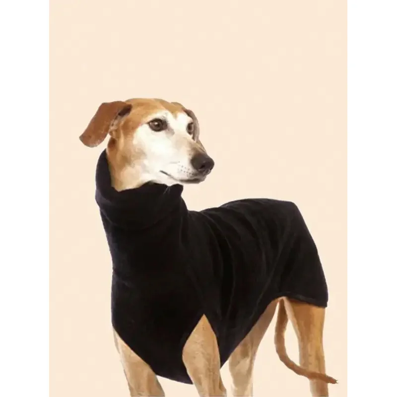 #10 Dog Apparel Discount Picks