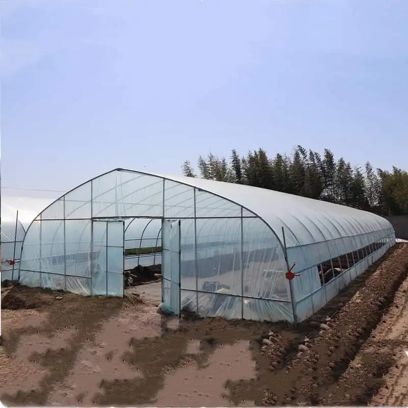 

Customized greenhouseAgricultural Tunnel Greenhouse - Single-Span Steel Frame Customizable Size for Vegetable Growing